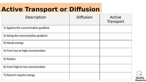 Image result for Active Transport Video Example