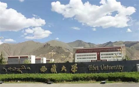 西藏大学-VR全景城市