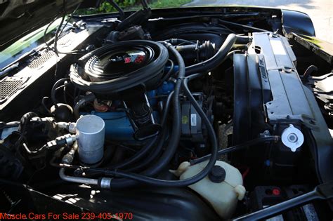 Used 1980 Chevrolet Camaro Z28 14454 Miles For Sale ($31,500) | Muscle ...