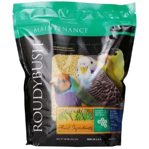 Buy Roudybush Daily Maintenance Bird Food For Dwarf Macaw, Eclectus ...