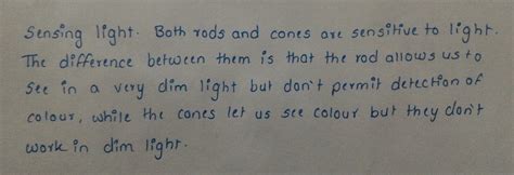 Why we cannot see bright colours in dim light? - Brainly.in