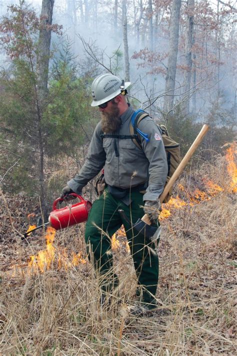 Wildfire teams from across the country come together for prescribed ...