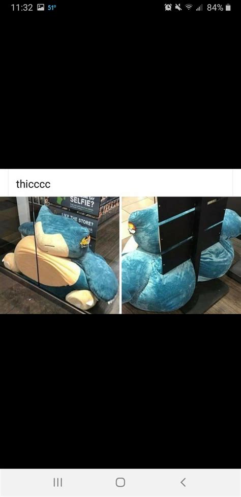 Damn boy he thick : r/BigJigglyPanda