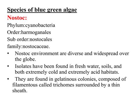 SRK-Blue green algae and their mass multiplication | PPTX