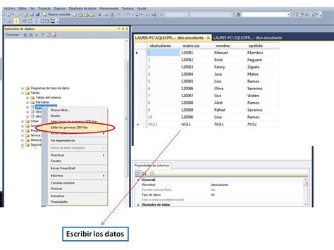 Image result for Como Insertar Datos En SQL Server