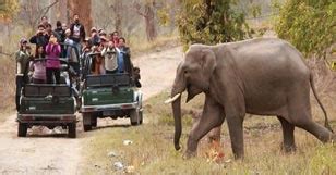 Rajaji National Park, Rajaji Booking Portal