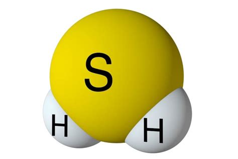 硫化氢 - 医学百科