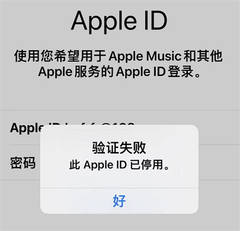 apple id在哪里看，怎么查看自己的apple id_360新知