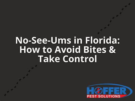 No-See-Ums in Florida: How to Avoid Bites & Take Control