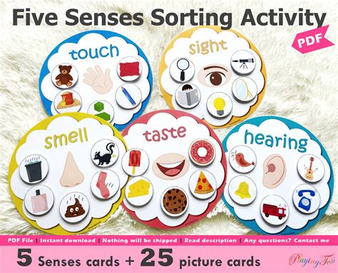 Buy Five Senses Sorting Activity Printable, 5 Senses Sorting ...