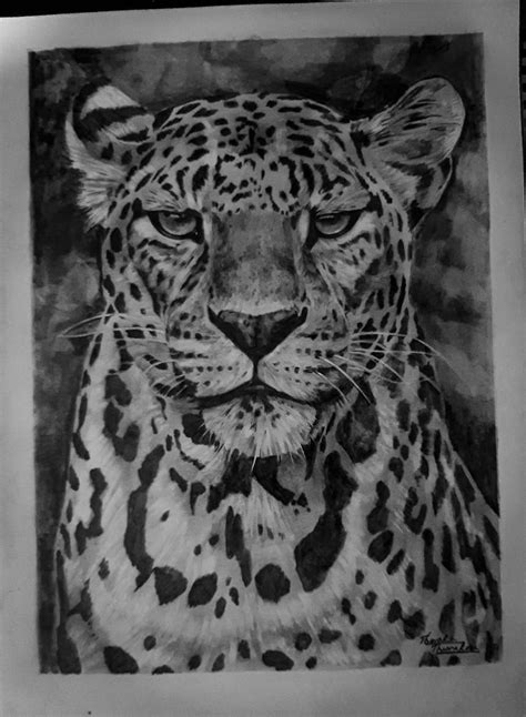 Graphite Pencil Drawing Tutorials of Animals 的图像结果