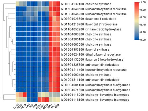 Comparative Physiological and Transcriptome Analysis Reveals Potential ...