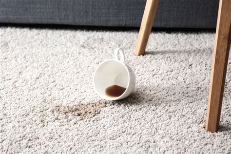 How to remove coffee stains from carpets, clothes, and more | Coffee ...
