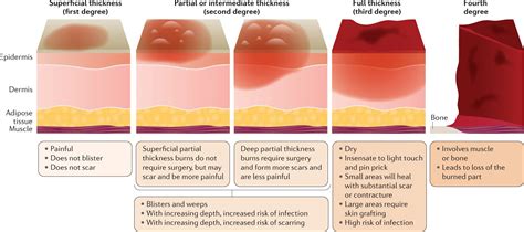 Friction Burn Healing Stages