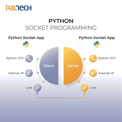 Python Socket Programming Tutorial 的图像结果