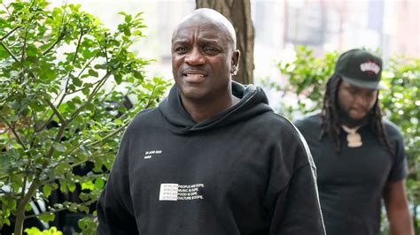 Akon Arrested in Georgia Over Suspended License Warrant,