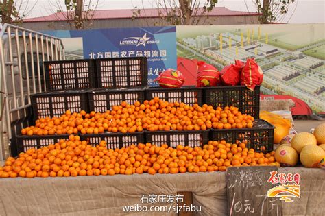 地铁直达！全广州最便宜的水果市场，就藏在天平架！100元买到手软！_进口