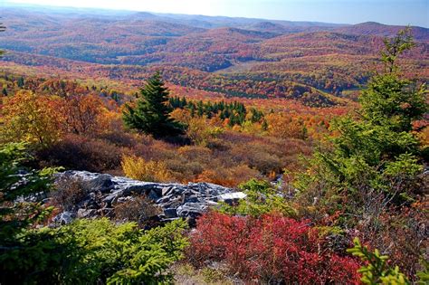 THE 10 BEST Places to Visit in Seneca Rocks (2025)