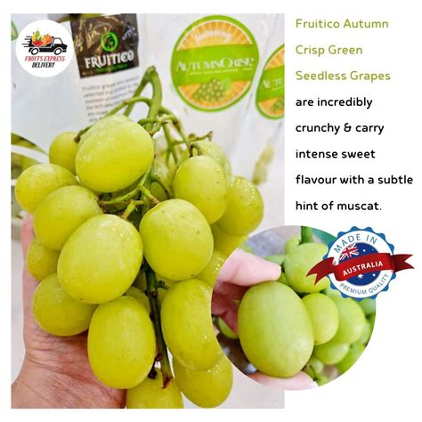 Buy Fruitico Autumn Crisp Green Seedless Grapes - Fruits Express Delivery