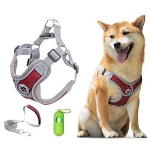 Patas Lague Dog Harness with Leash Set Adjustable Soft Padded Step-in ...