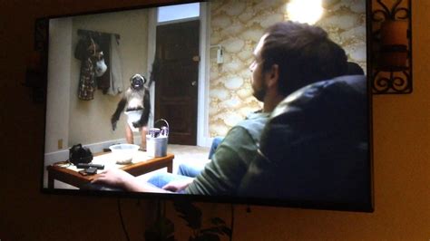 Puppy Monkey Baby Super Bowl Commercial 的图像结果