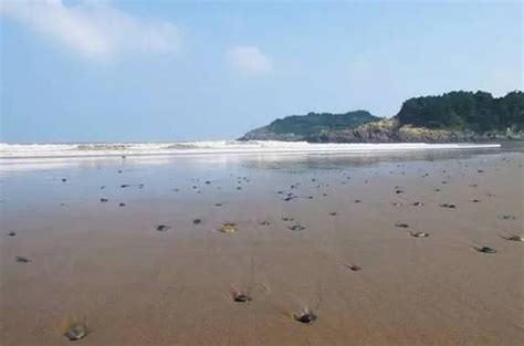 高清：“人造沙滩”亮相上海南外滩_旅游频道_凤凰网