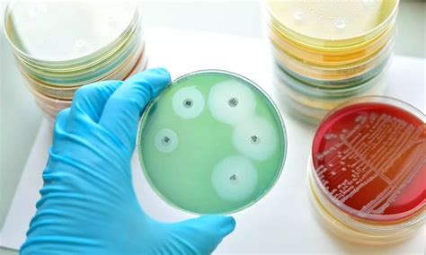 IMA Launches CAMP-AMR to Combat Antimicrobial Resistance in India