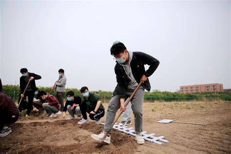 农村老人进城闲不住 小区外开荒种菜|老人|图片来源|锐图_新浪新闻