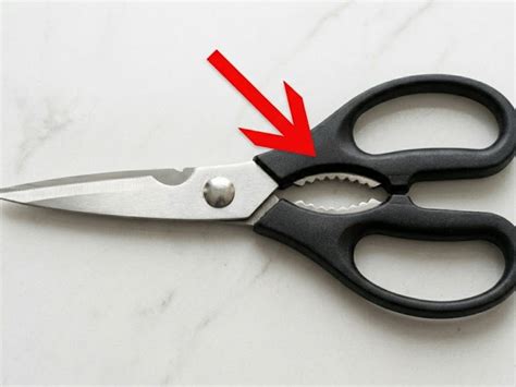 People are just learning what this part of kitchen scissors is for