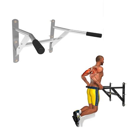 Buy DSHUJC Squat rack fitness equipment for the gym at home ...