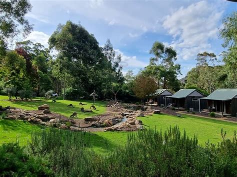 D'ALTONS STUDIOS (Halls Gap, Grampians) - Resort Reviews, Photos, Rate ...