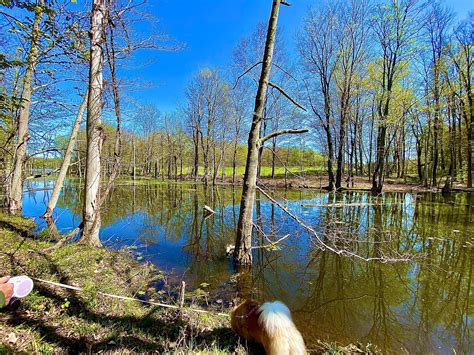 Sterling Nature Center – Sterling, NY | Adventures in New York