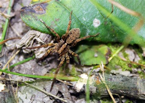 Expanding Empathy - ACRES Land Trust