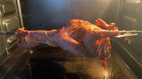 家庭烤鸽子怎么做_家庭烤鸽子的做法_豆果美食
