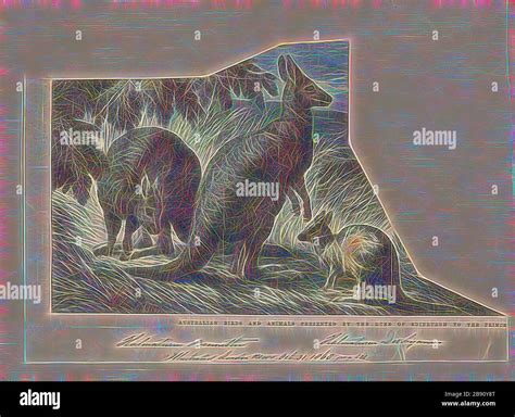 Thirteen extant species hi-res stock photography and images - Alamy