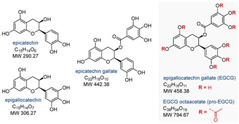 Epigallocatechin Gallate as a Potential Therapeutic Agent in ...