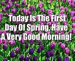 Image result for Good Morning Spring Bunnies