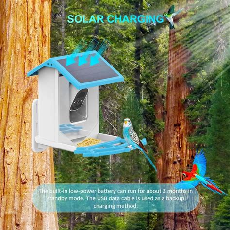 Waterproof Smart Solar-Powered Bird Feeder Camera