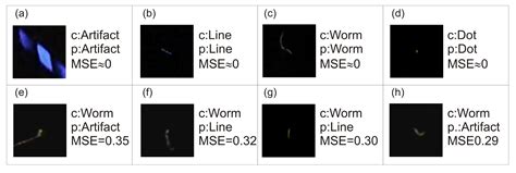 Recognition of Cosmic Ray Images Obtained from CMOS Sensors Used in ...