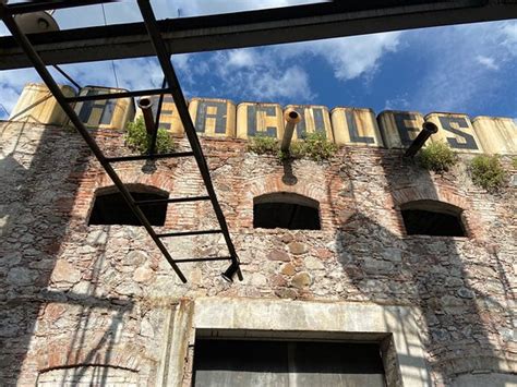 CERVECERIA HERCULES, Queretaro City - Restaurant Reviews & Photos ...