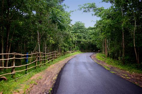 maredumilli-gallery-konaseema