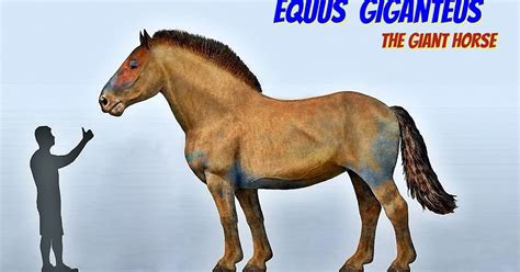 Image result for Problem Solving Software's App Examples