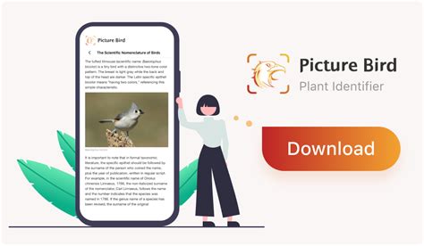Image result for Programing Python Green