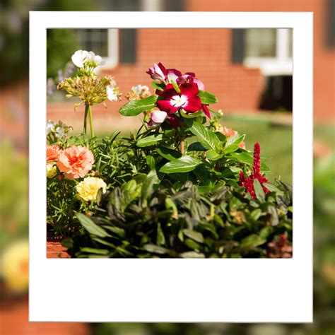 Home - Wilshire at Lakewood