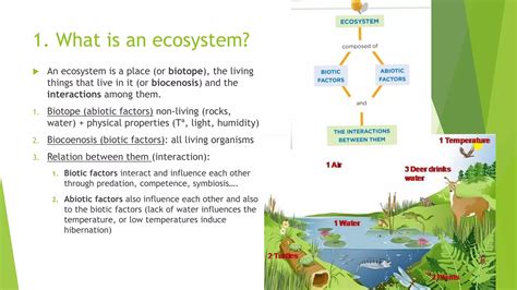 9. ecosystems | PPTX