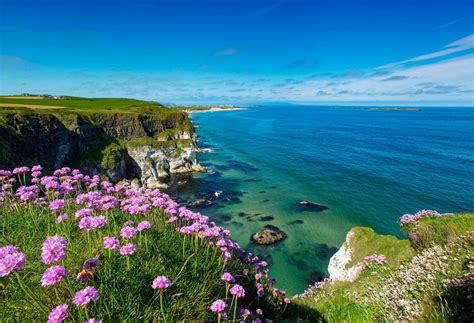Make the most of your trip with the best beaches in Ireland | KAYAK