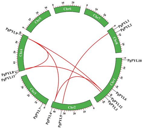 Insights into the PYR/PYL/RCAR Gene Family in Pomegranates (Punica granatum L.): A Genome-Wide ... - family of pomegranate