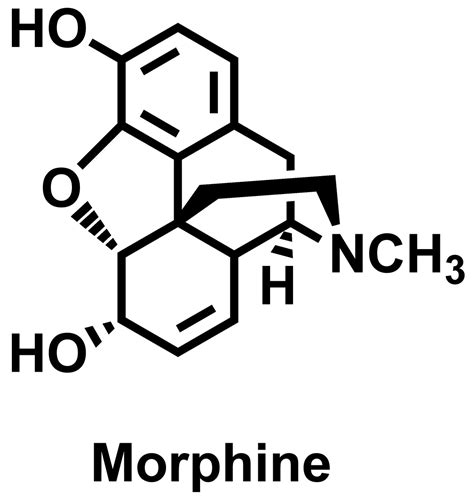 Morphine Lewis Dot Structure