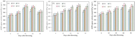 Effects of Post-Anthesis Irrigation on the Activity of Starch Synthesis ...