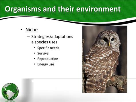 Ecology 的图像结果